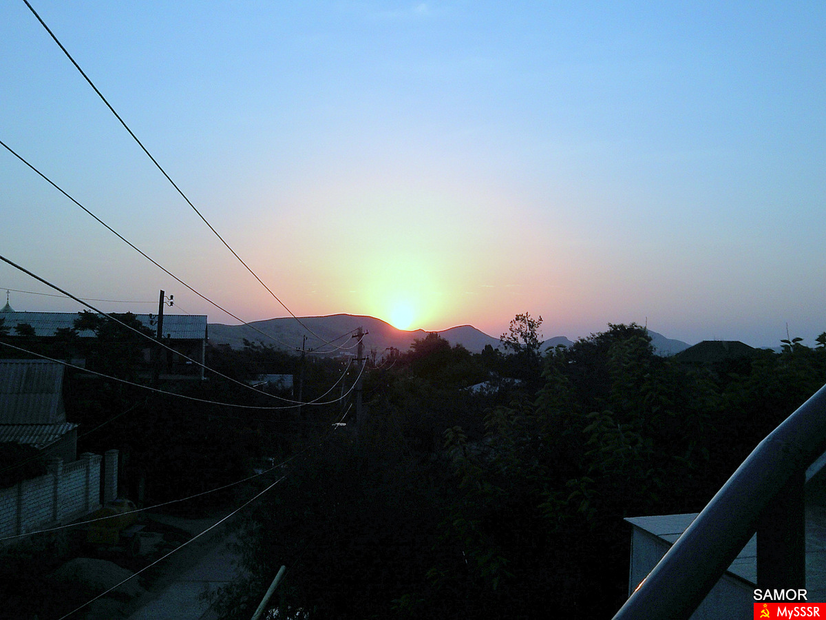  2010