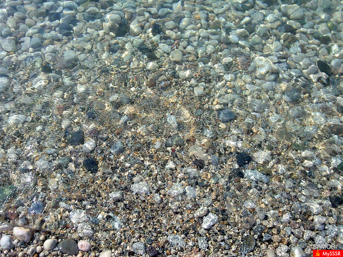  2010