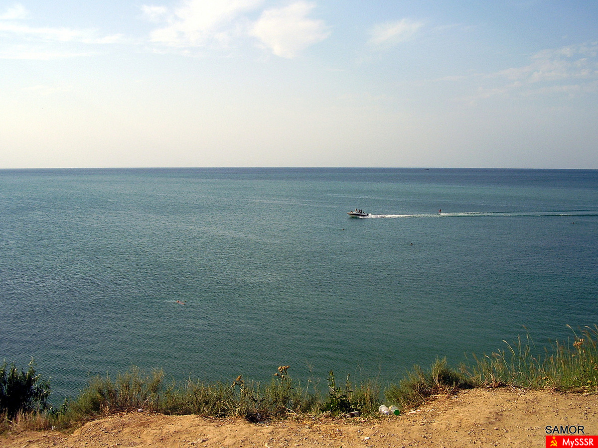  2010