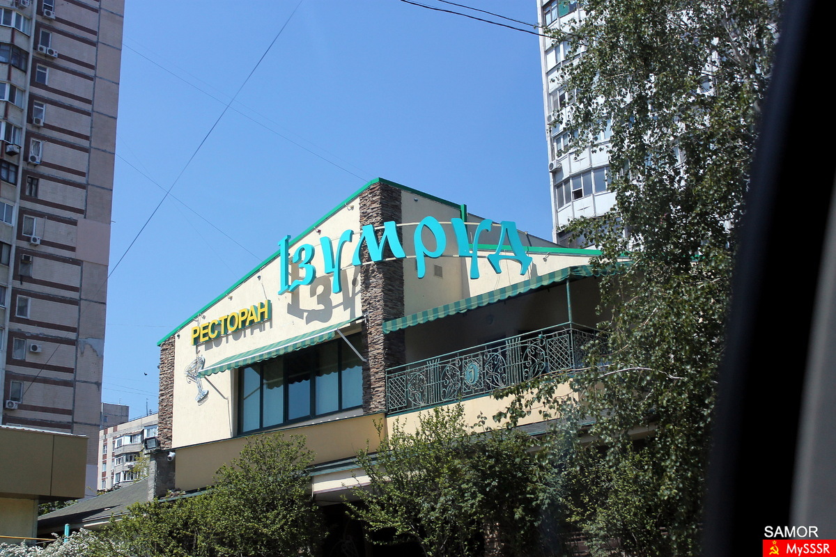      2013