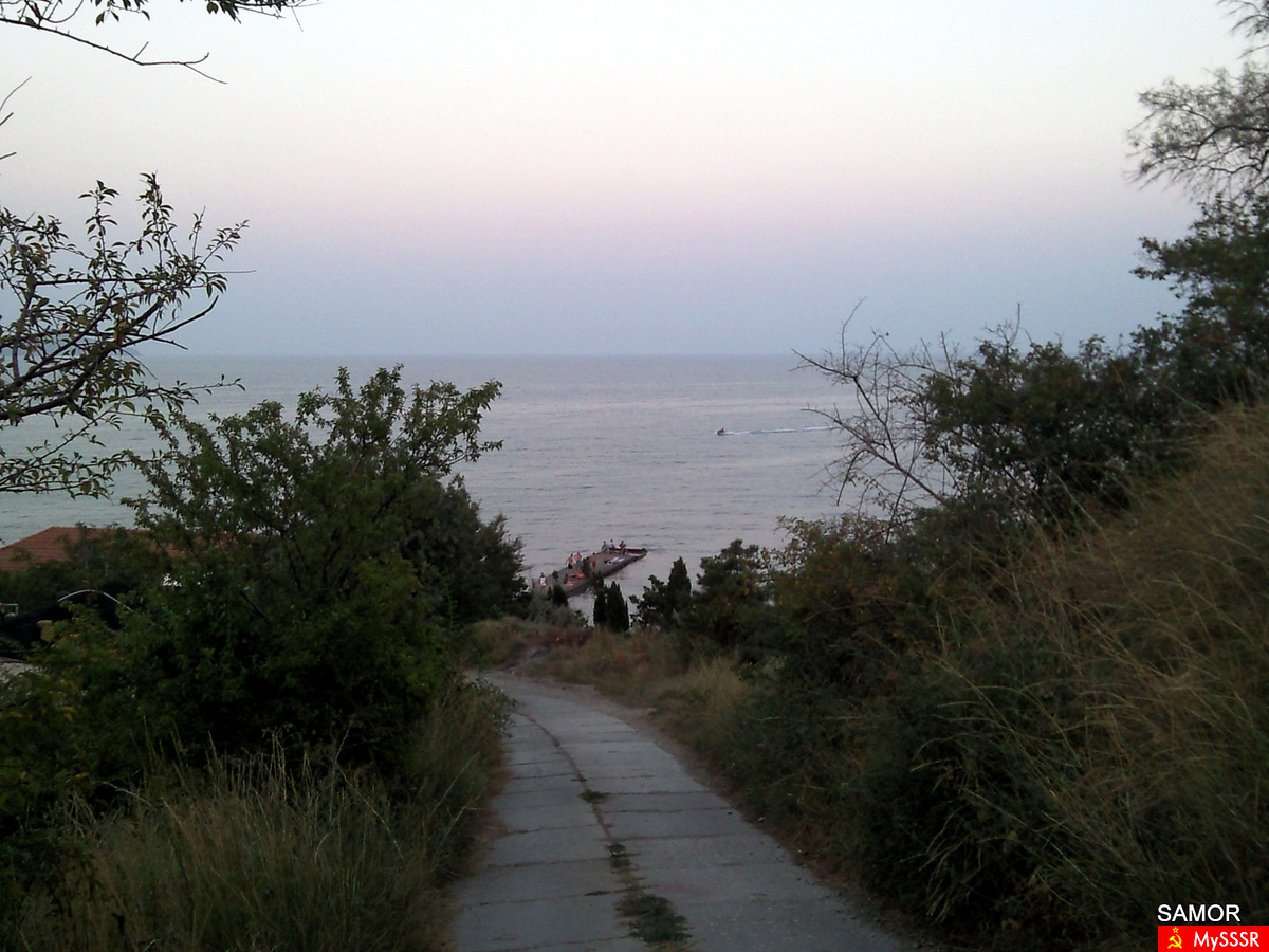  2010