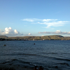  2010