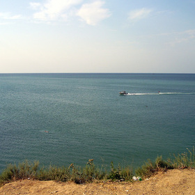  2010