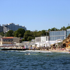      2013