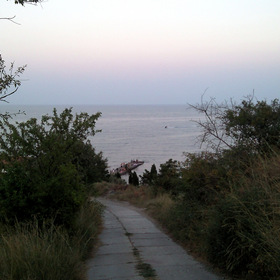  2010