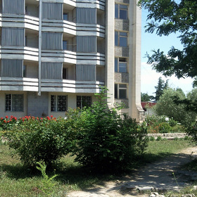  2010