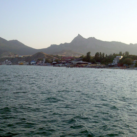  2010