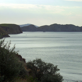  2010