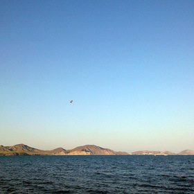  2010