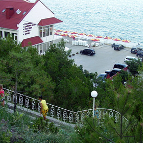  2010