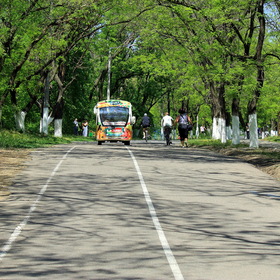     2013