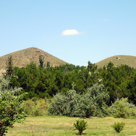  2010