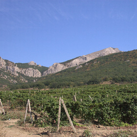 2015